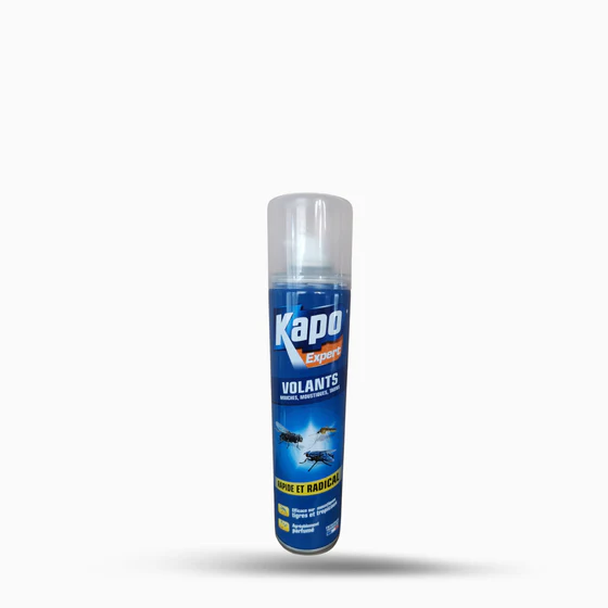 Aérosol Insectes Volants K Pro 3 Aérosol Insectes Volants K Pro